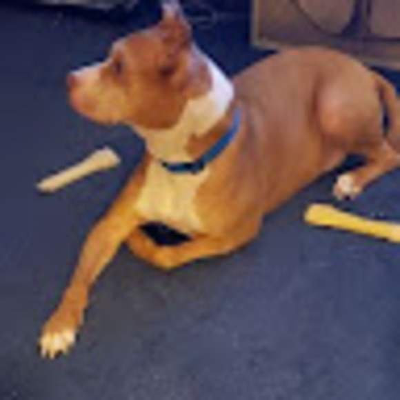 Meet your Posher, T - Picture 1 of 1